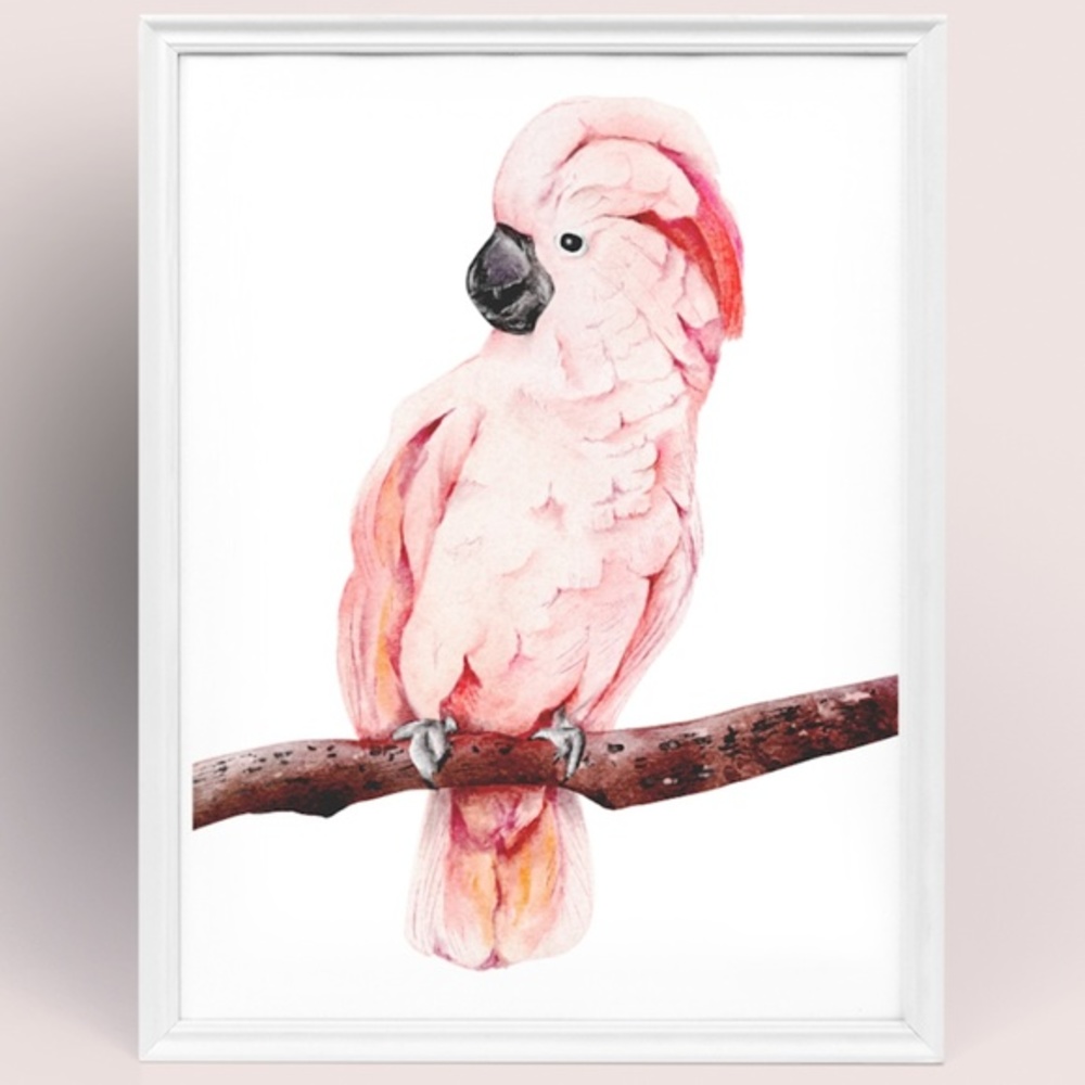 Wall Art Tropical Bird Portrait Print Unframed - Picture 5 of 15